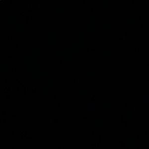 Meet your Posher, America